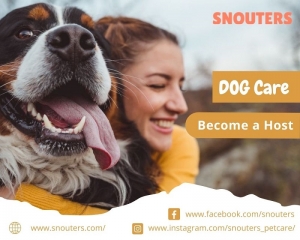 Snouters - Pets Care & Boarding Service in India